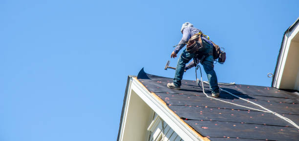 Best Metal Roofing Contractor  in Clarinda, IA